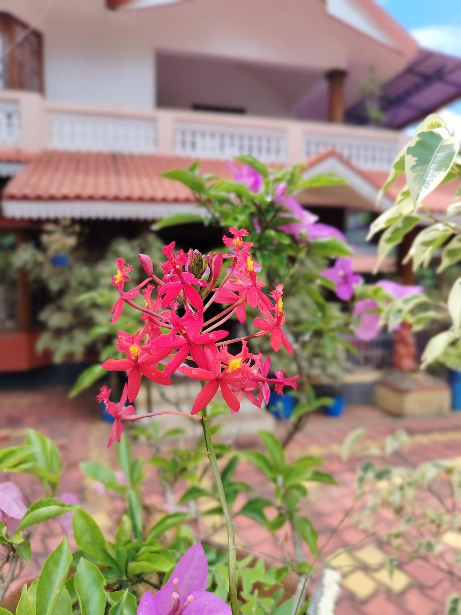 Shivalaya Homestay, Madikeri Siddapura  ภายนอก รูปภาพ