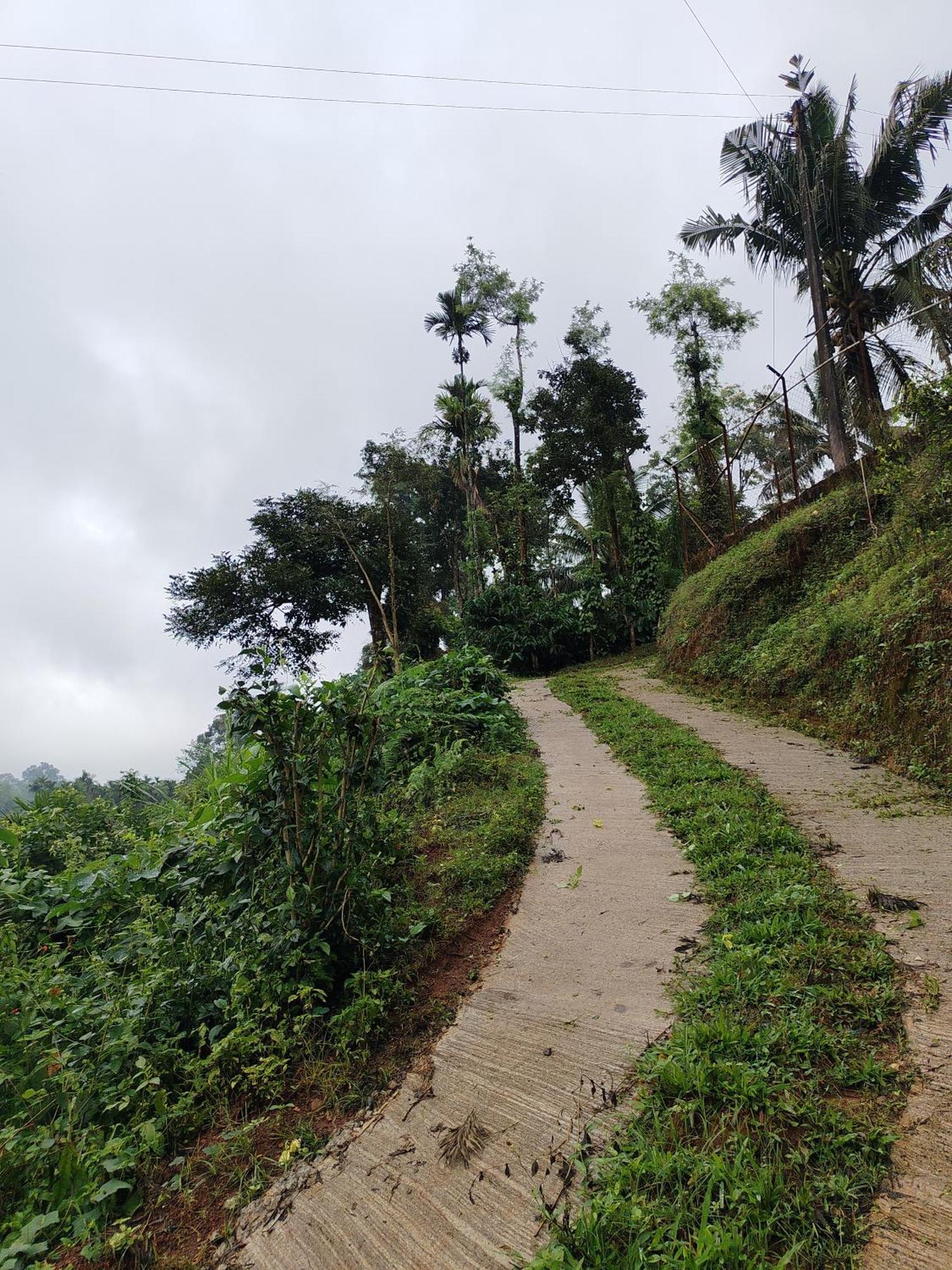 Shivalaya Homestay, Madikeri Siddapura  ภายนอก รูปภาพ