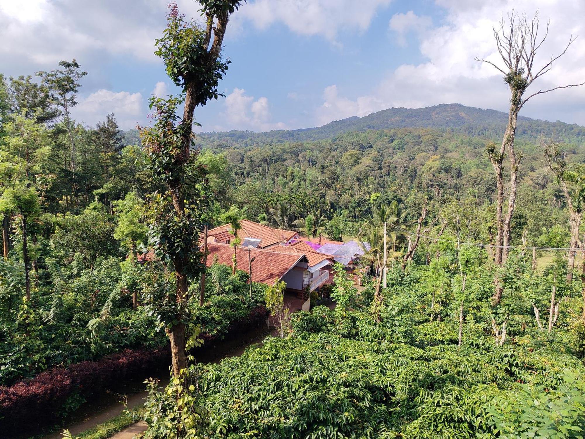 Shivalaya Homestay, Madikeri Siddapura  ภายนอก รูปภาพ