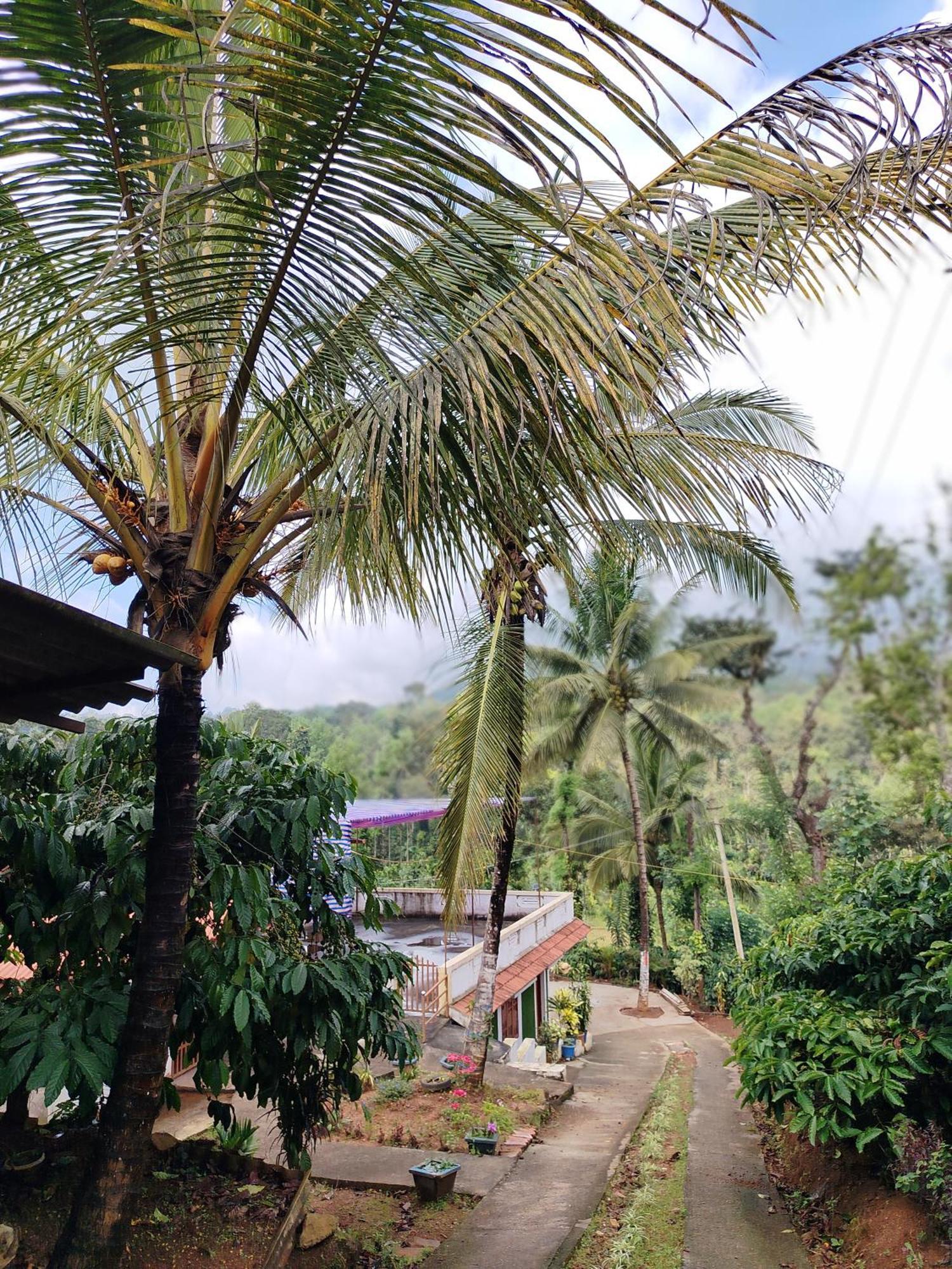 Shivalaya Homestay, Madikeri Siddapura  ภายนอก รูปภาพ